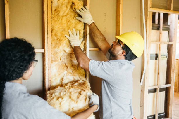 Best Commercial Insulation Services  in Tatum, TX